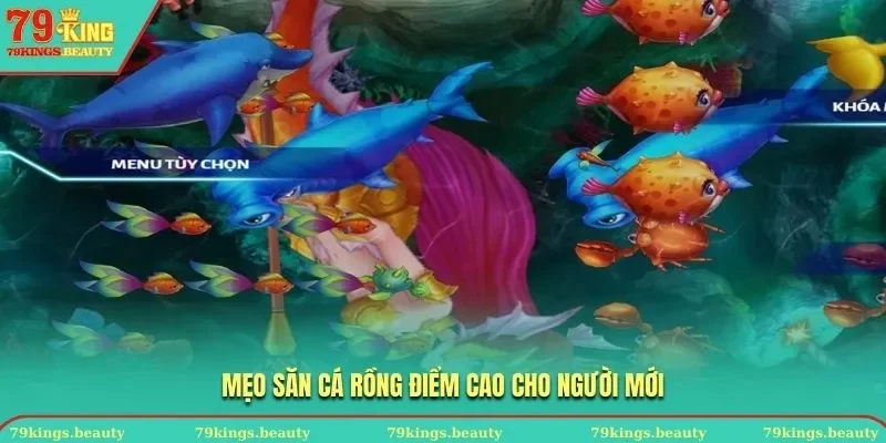 Mẹo săn Cá Rồng đạt điểm cao