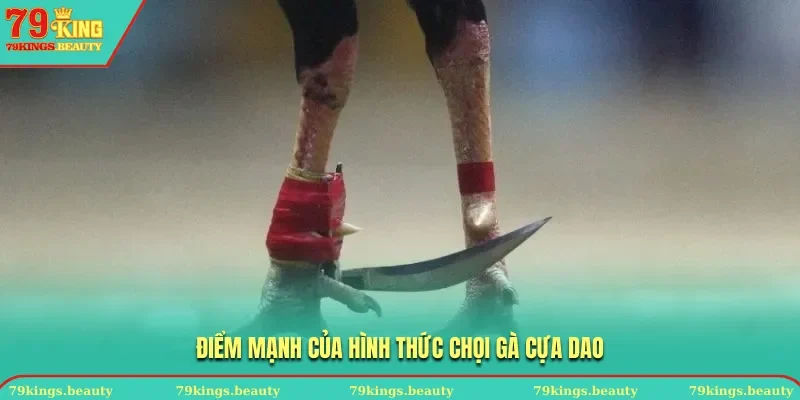 Điểm mạnh của hình thức chọi gà cựa dao