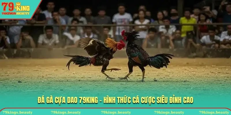 Đá gà cựa dao