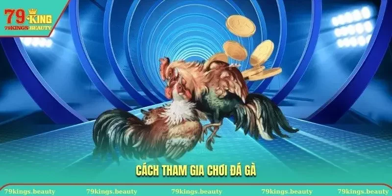 Cách chơi đá gà cựa sắt tại 79KING chi tiết nhất  