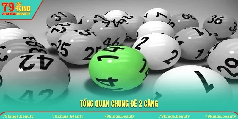 Tổng quan chung đề 2 càng