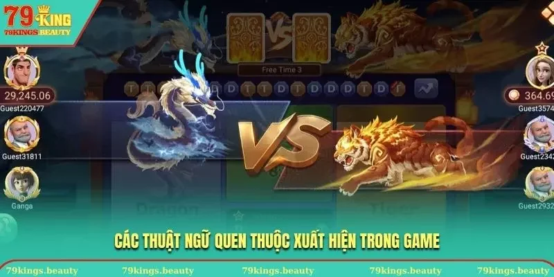 Điểm danh các thuật ngữ quen thuộc và ý nghĩa