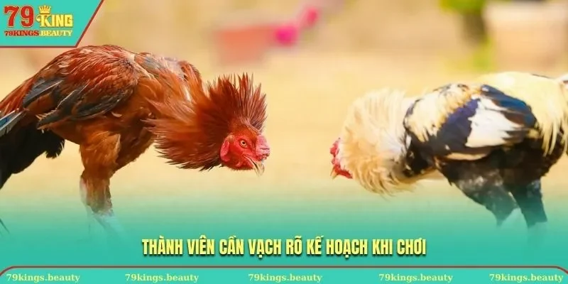 Thành viên cần vạch rõ kế hoạch khi chơi